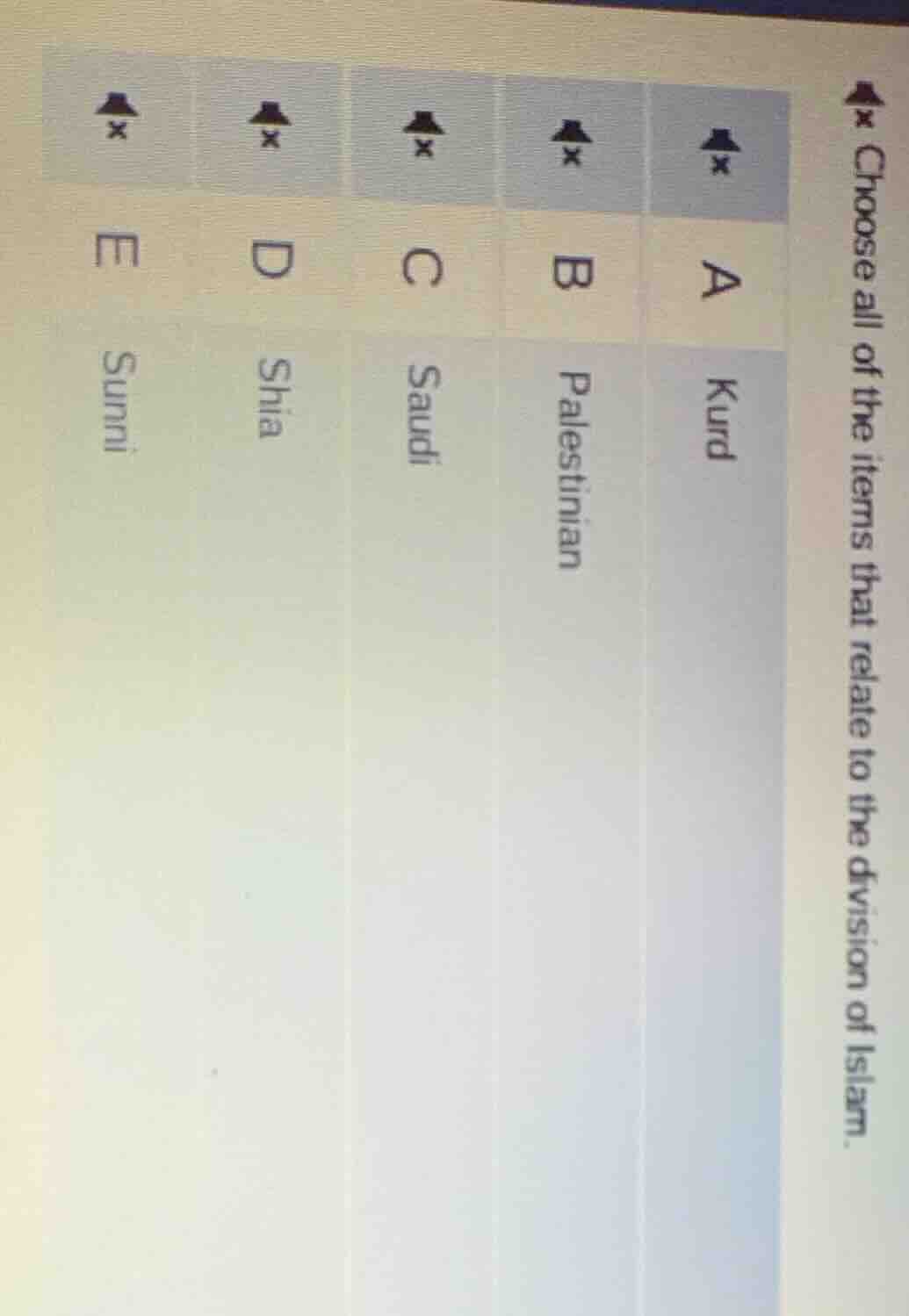 choose all of the items that relate to the division of islam. a kurd b …