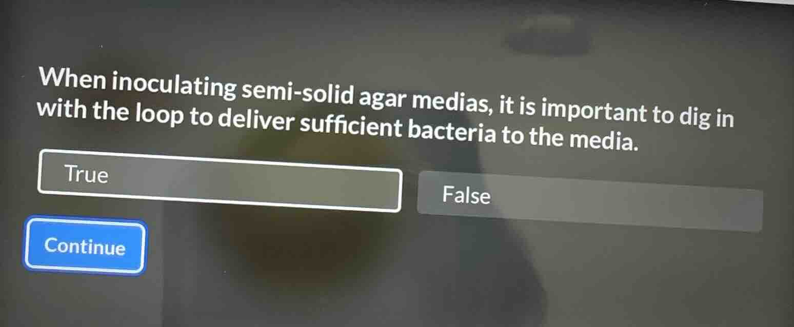 when inoculating semi-solid agar medias, it is important to dig in with…