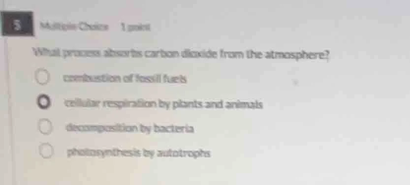 5 multiple choice 1 point what process absorbs carbon dioxide from the …