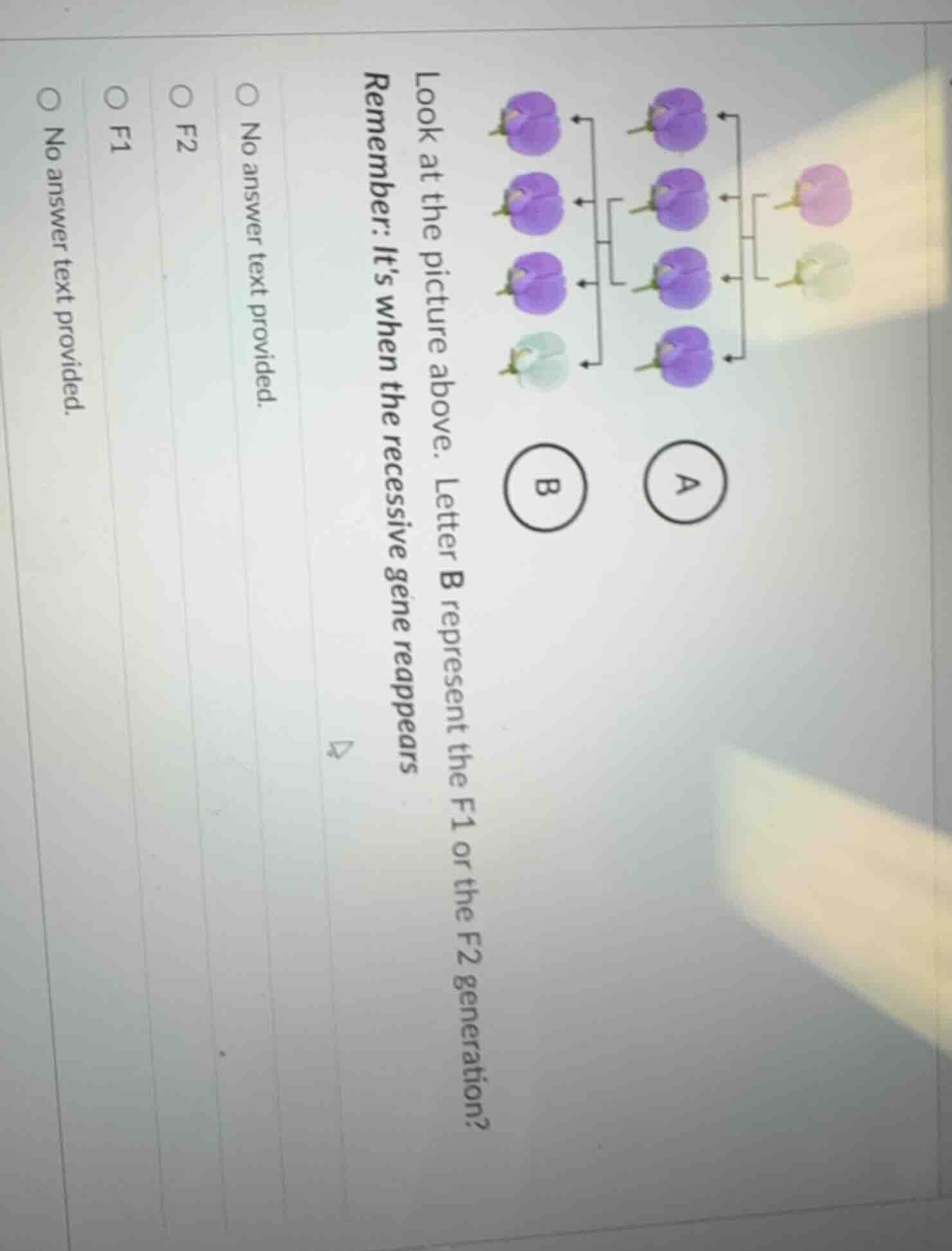 look at the picture above. letter b represent the f1 or the f2 generati…