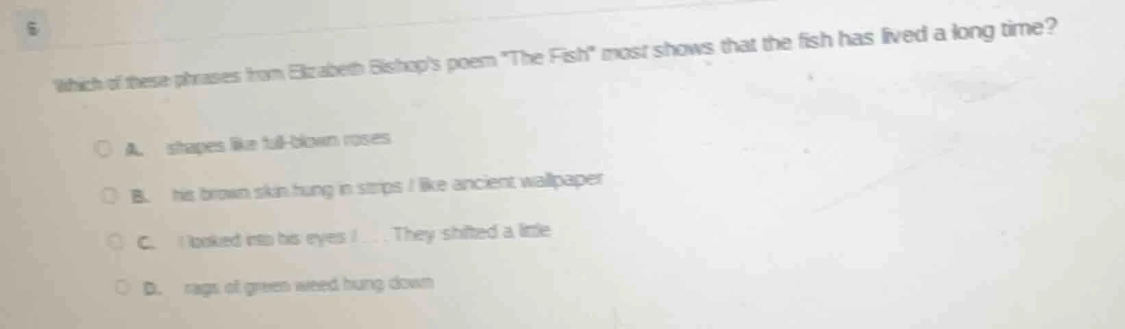 6 which of these phrases from elizabeth bishops poem \the fish\ most sh…