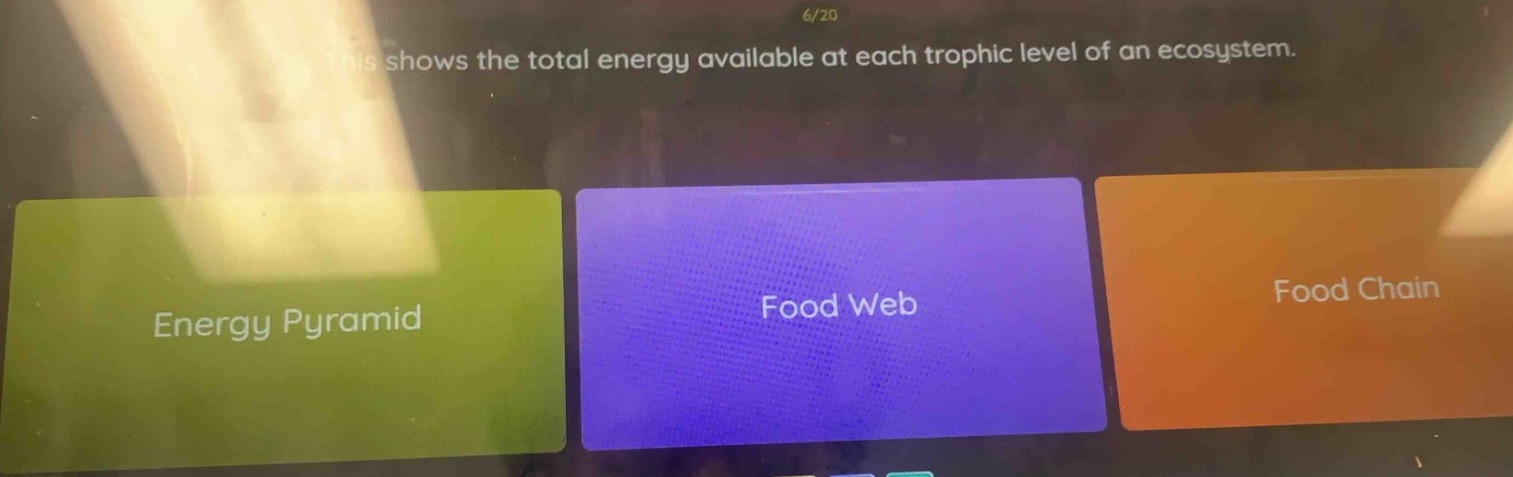 6/20 this shows the total energy available at each trophic level of an …