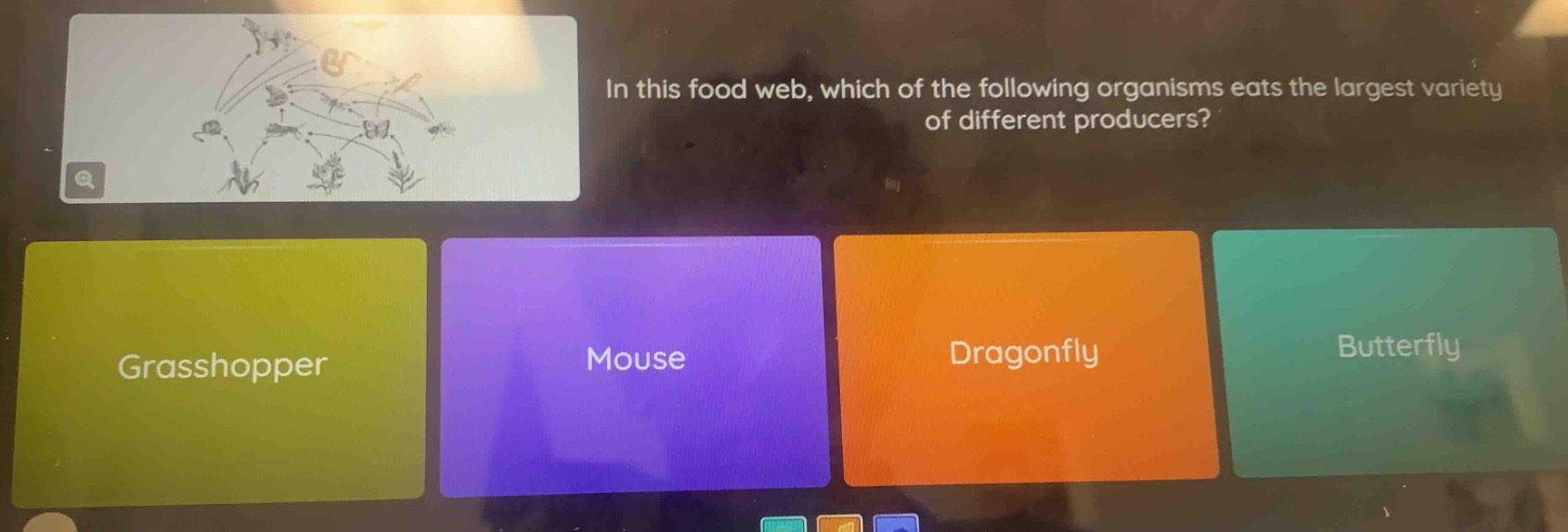 in this food web, which of the following organisms eats the largest var…
