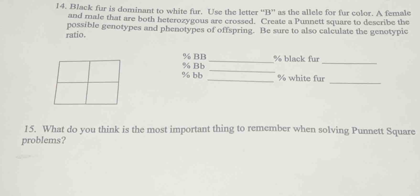 14. black fur is dominant to white fur. use the letter \b\ as the allel…