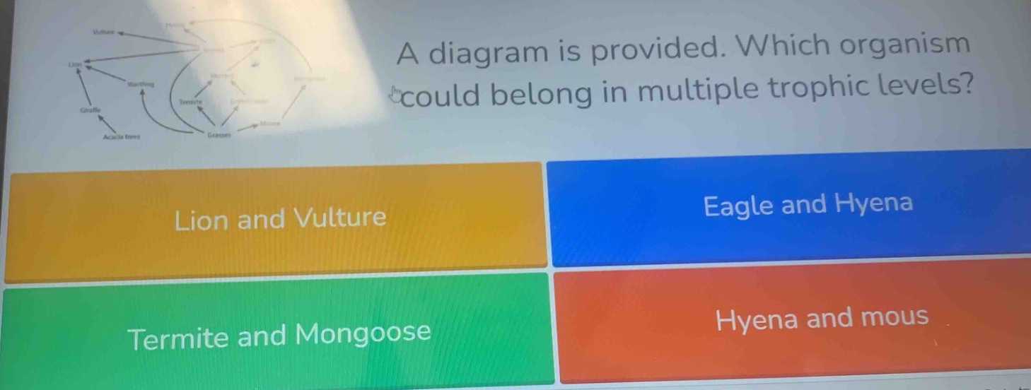 a diagram is provided. which organism could belong in multiple trophic …