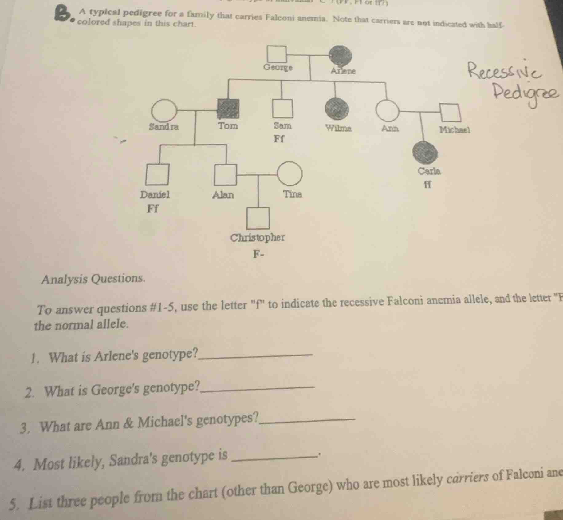 a typical pedigree for a family that carries falconi anemia. note that …