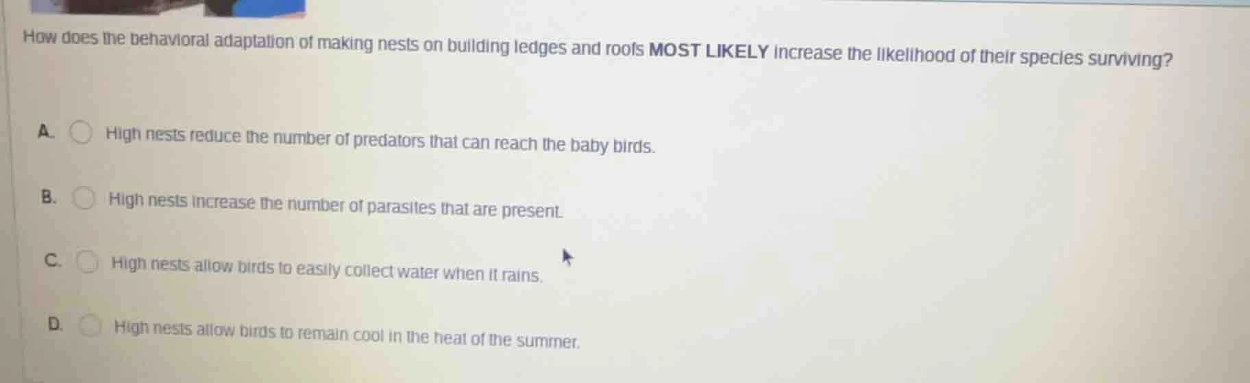 how does the behavioral adaptation of making nests on building ledges a…