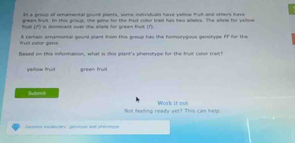 in a group of ornamental gourd plants, some individuals have yellow fru…