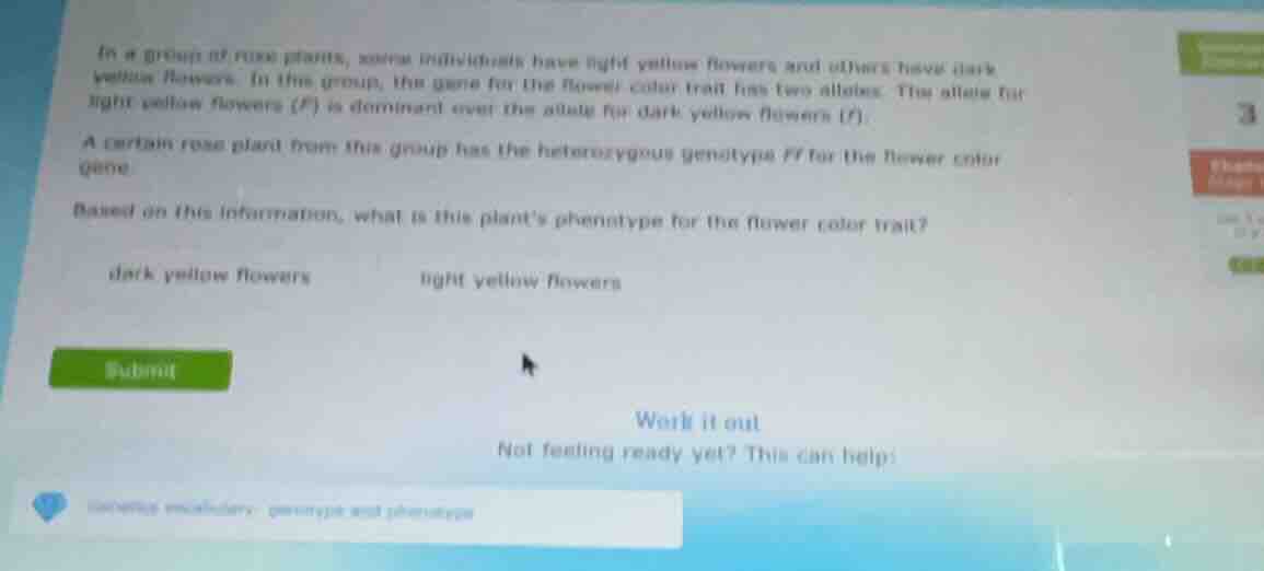 in a group of rose plants, some individuals have light yellow flowers a…