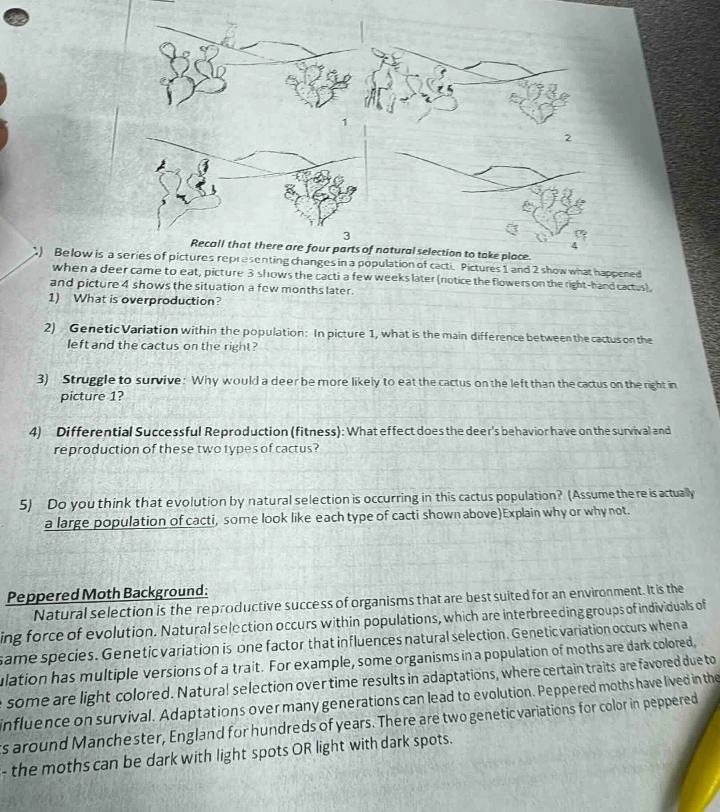 recall that there are four parts of natural selection to take place.bel…