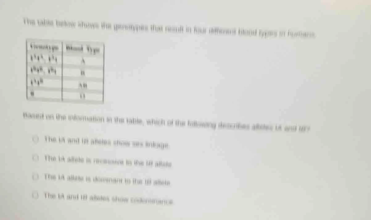 the table below shows the genotypes that result in four different blood…