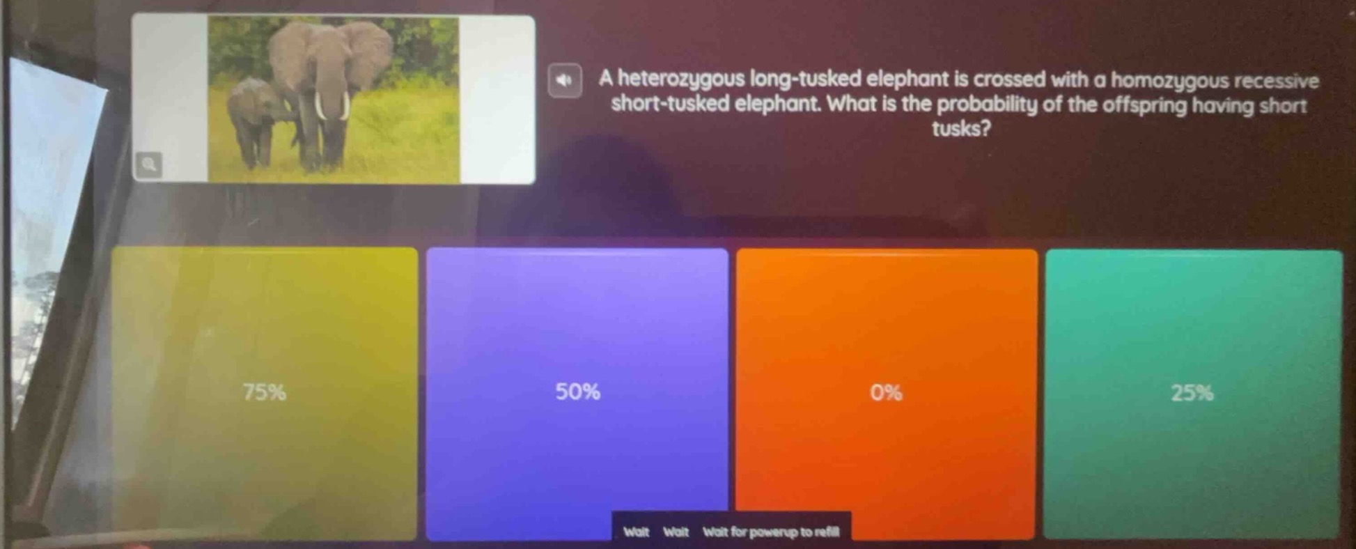 a heterozygous long-tusked elephant is crossed with a homozygous recess…