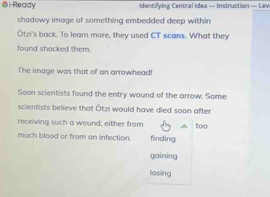 i-readyidentifying central idea — instruction — levshadowy image of som…