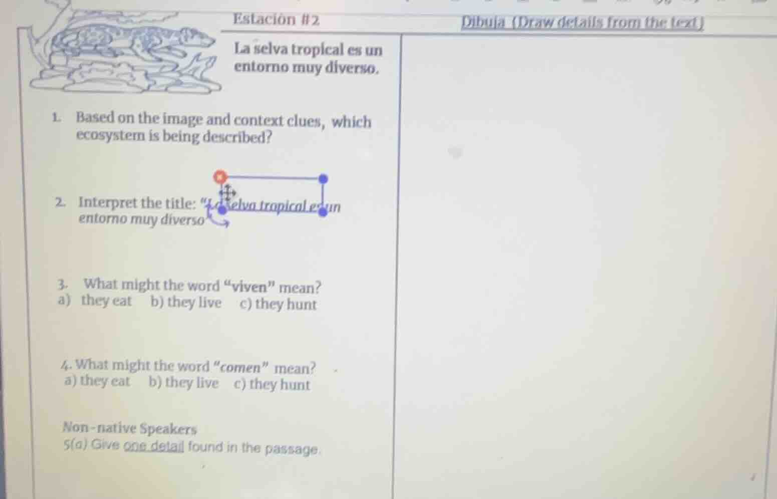 estación #2 dibuja (draw details from the text) la selva tropical es un…