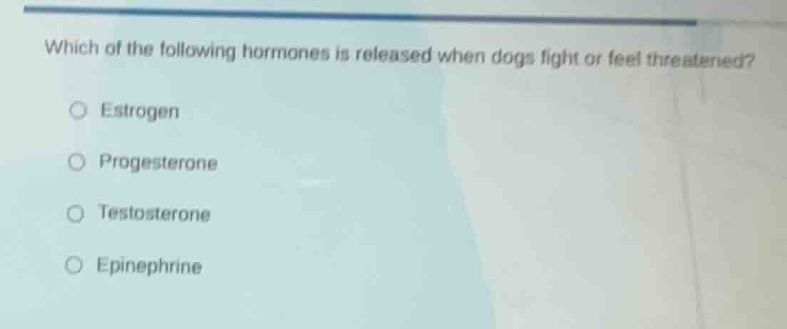 which of the following hormones is released when dogs fight or feel thr…