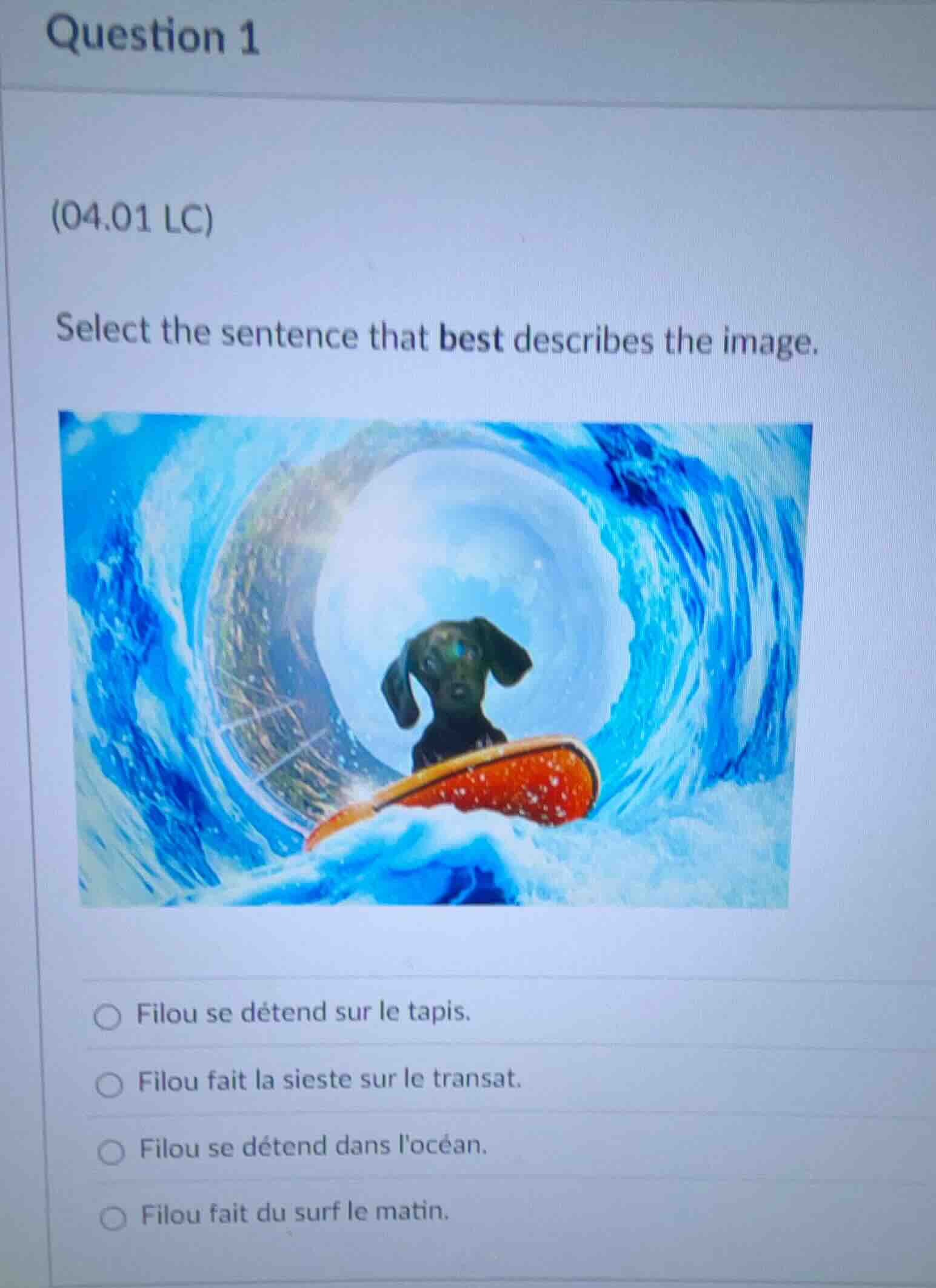 question 1 (04.01 lc) select the sentence that best describes the image…