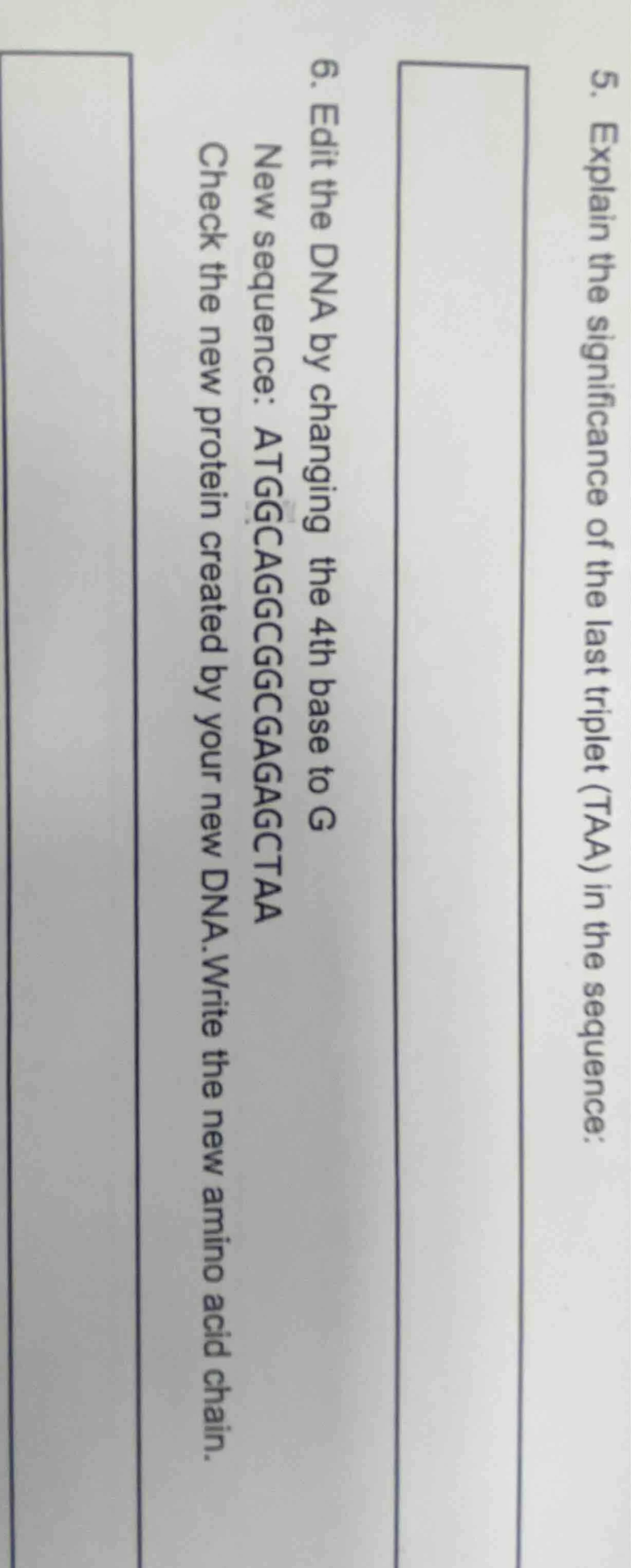5. explain the significance of the last triplet (taa) in the sequence: …