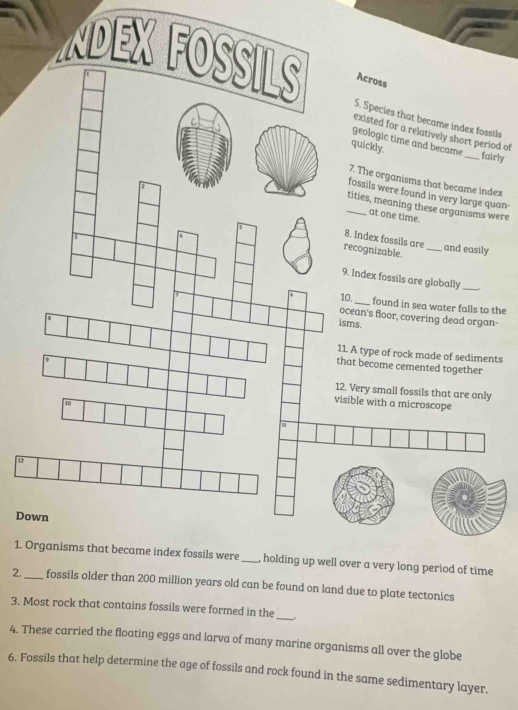 index fossils across 5. species that became index fossils existed for a…