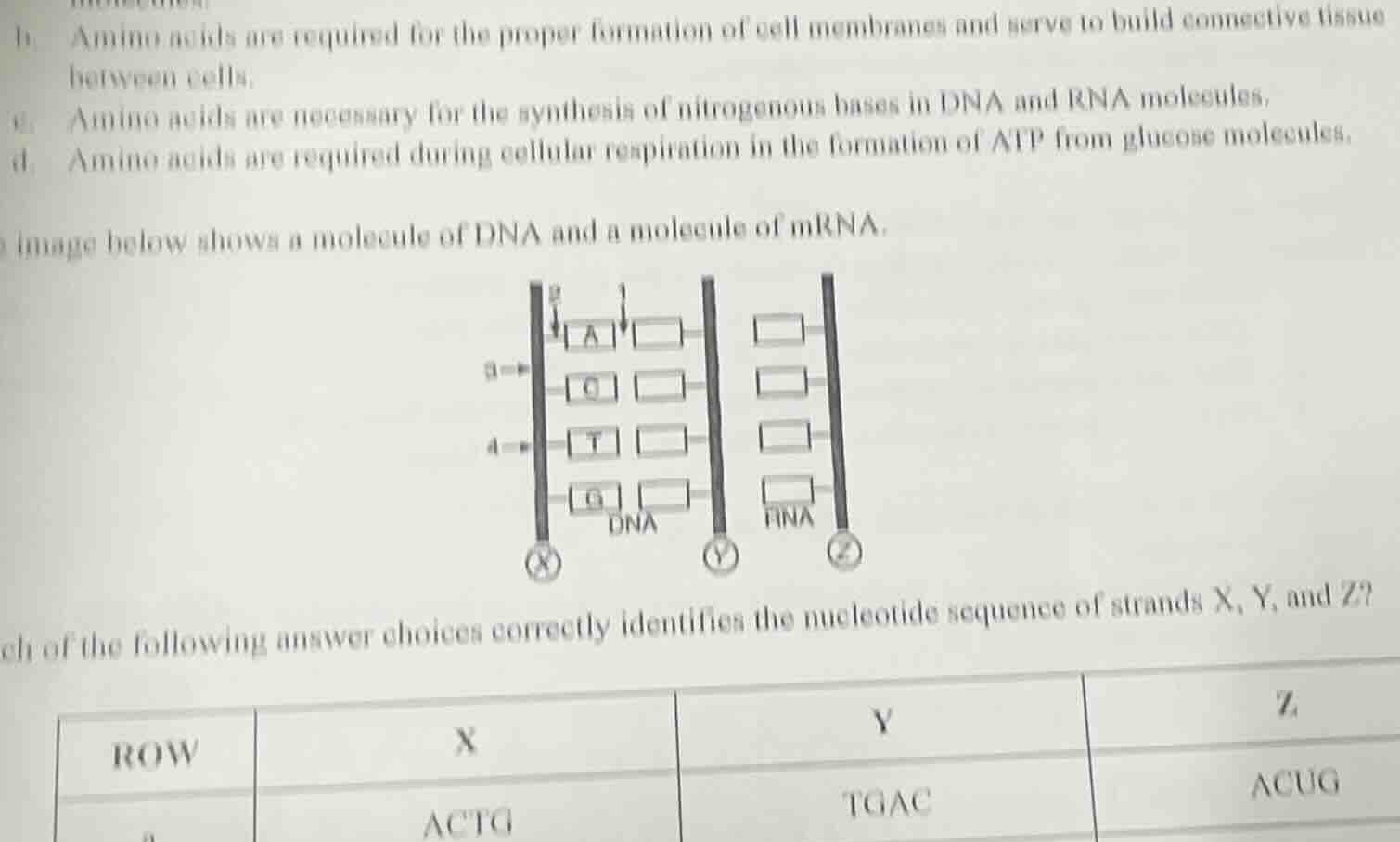 b. amino acids are required for the proper formation of cell membranes …
