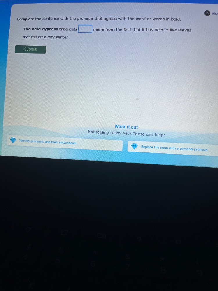 complete the sentence with the pronoun that agrees with the word or wor…