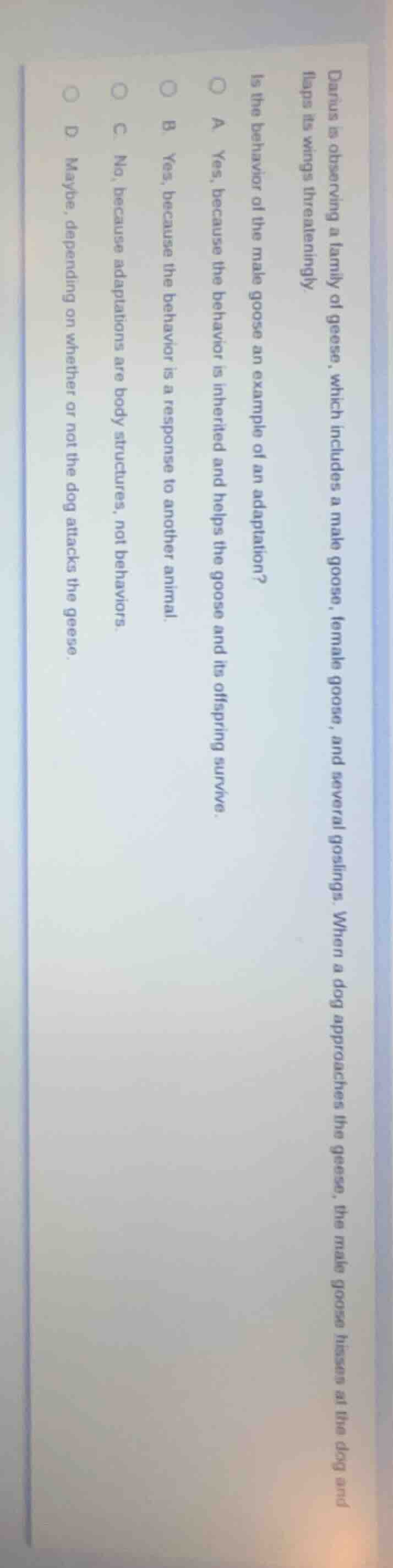 darius is observing a family of geese, which includes a male goose, fem…