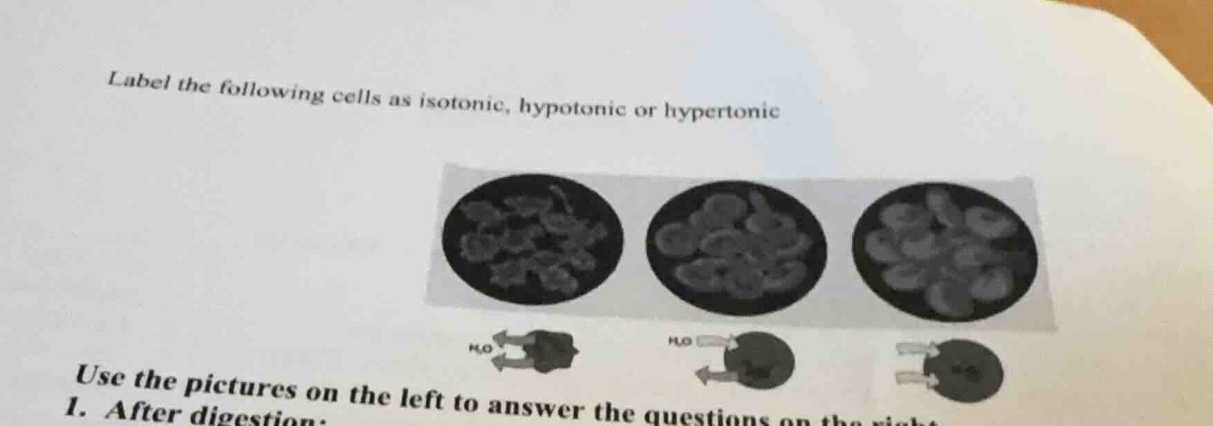 label the following cells as isotonic, hypotonic or hypertonic use the …