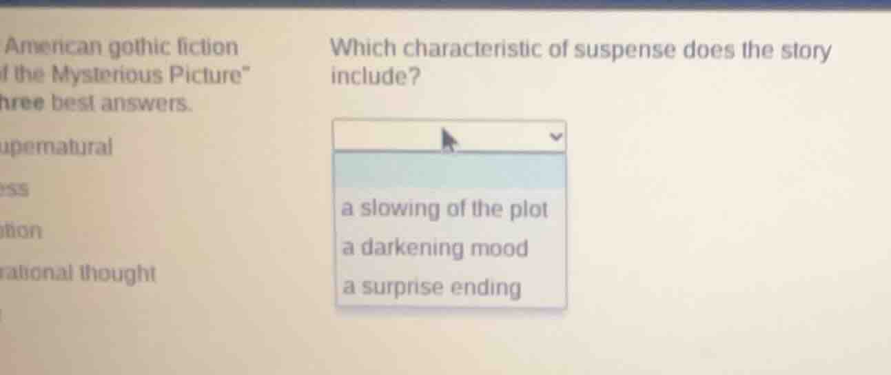 american gothic fiction of the mysterious picture\ hree best answers. u…