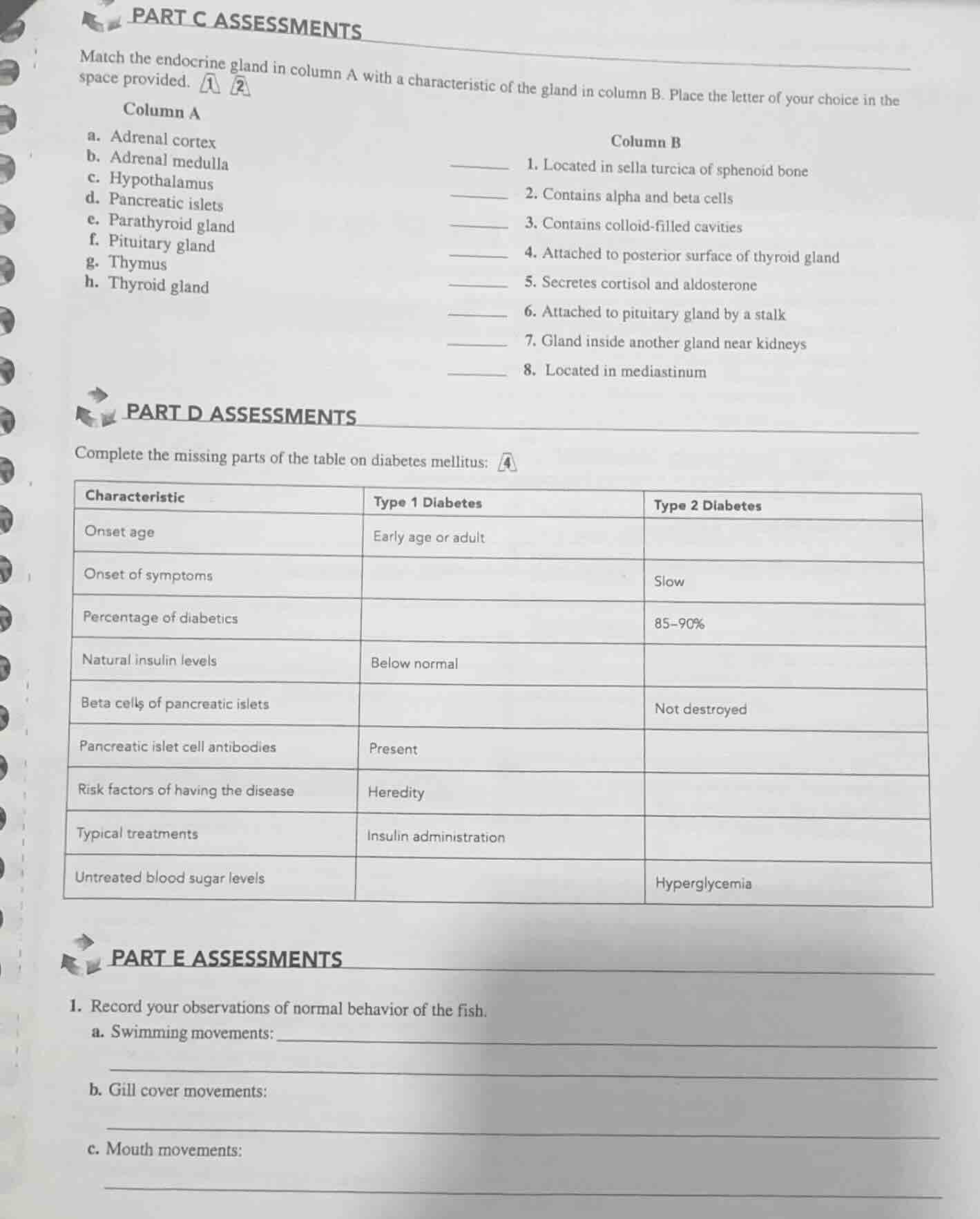 part c assessments match the endocrine gland in column a with a charact…