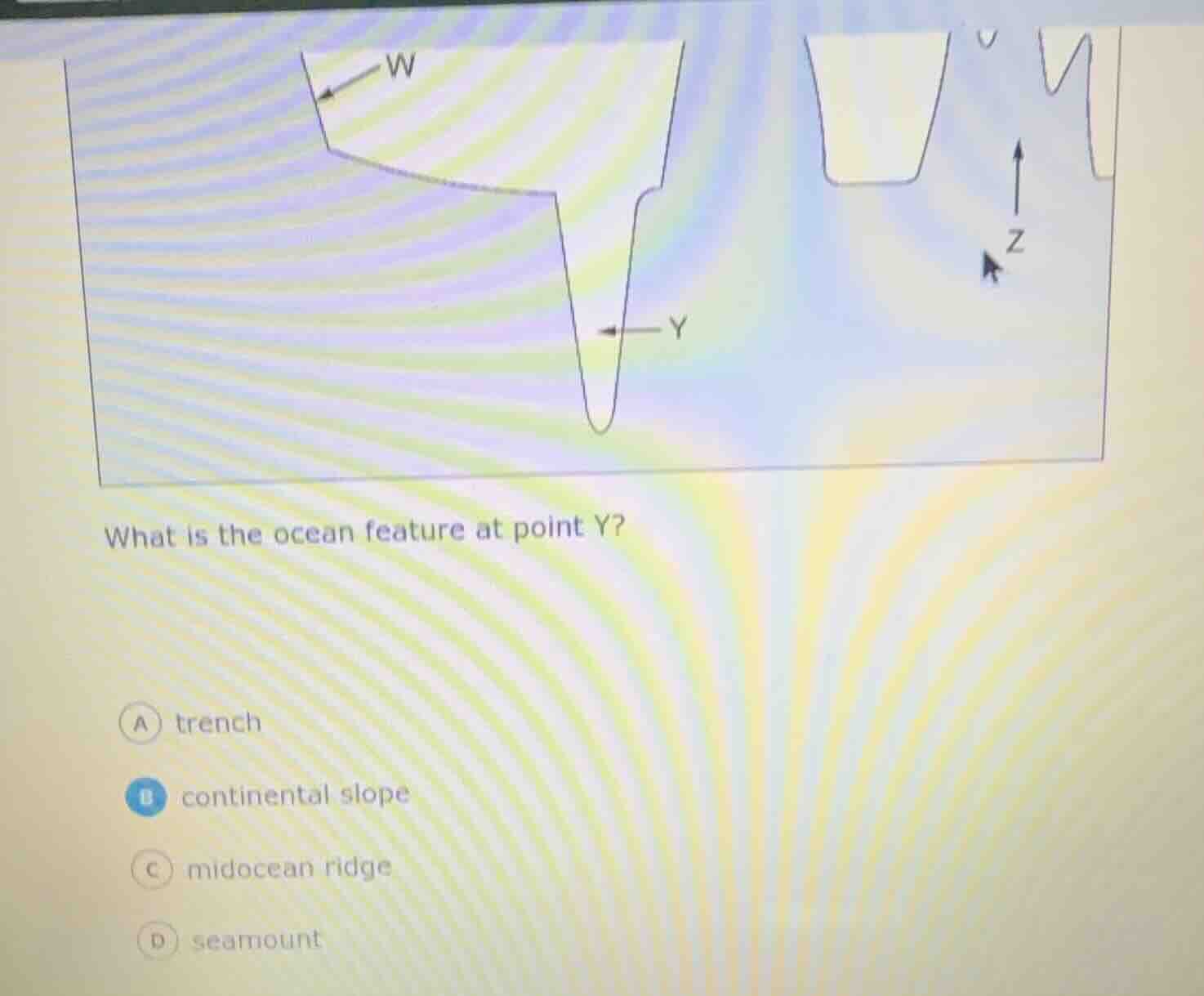what is the ocean feature at point y?a trenchb continental slopec midoc…