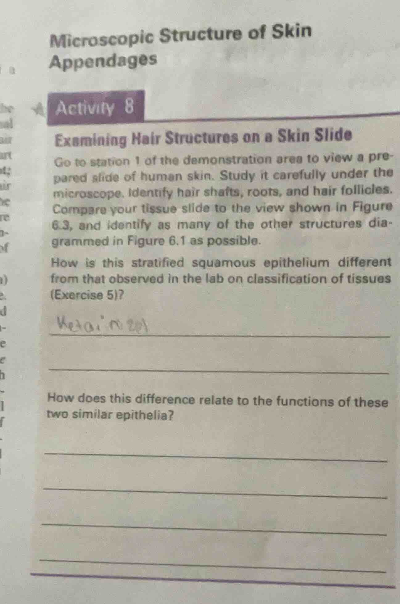 microscopic structure of skin appendages activity 8 examining hair stru…