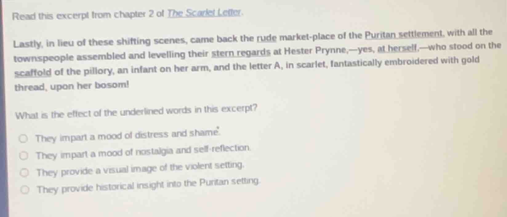 read this excerpt from chapter 2 of the scarlet letter. lastly, in lieu…