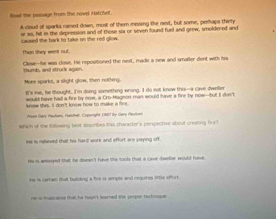 read the passage from the novel hatchet.a cloud of sparks rained down, …