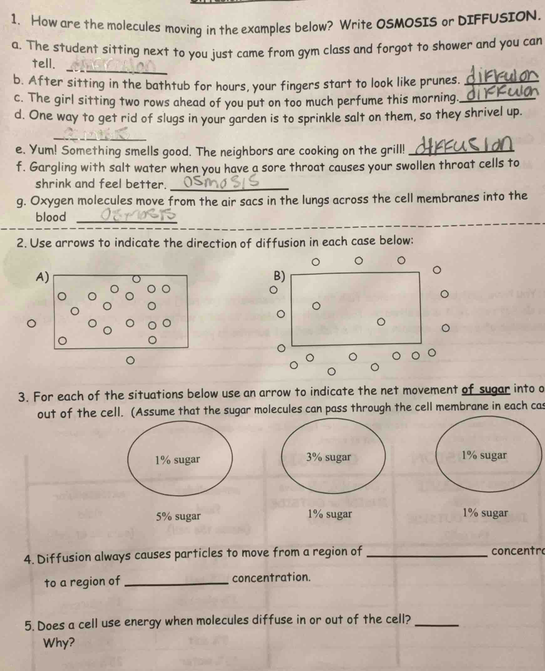 1. how are the molecules moving in the examples below? write osmosis or…