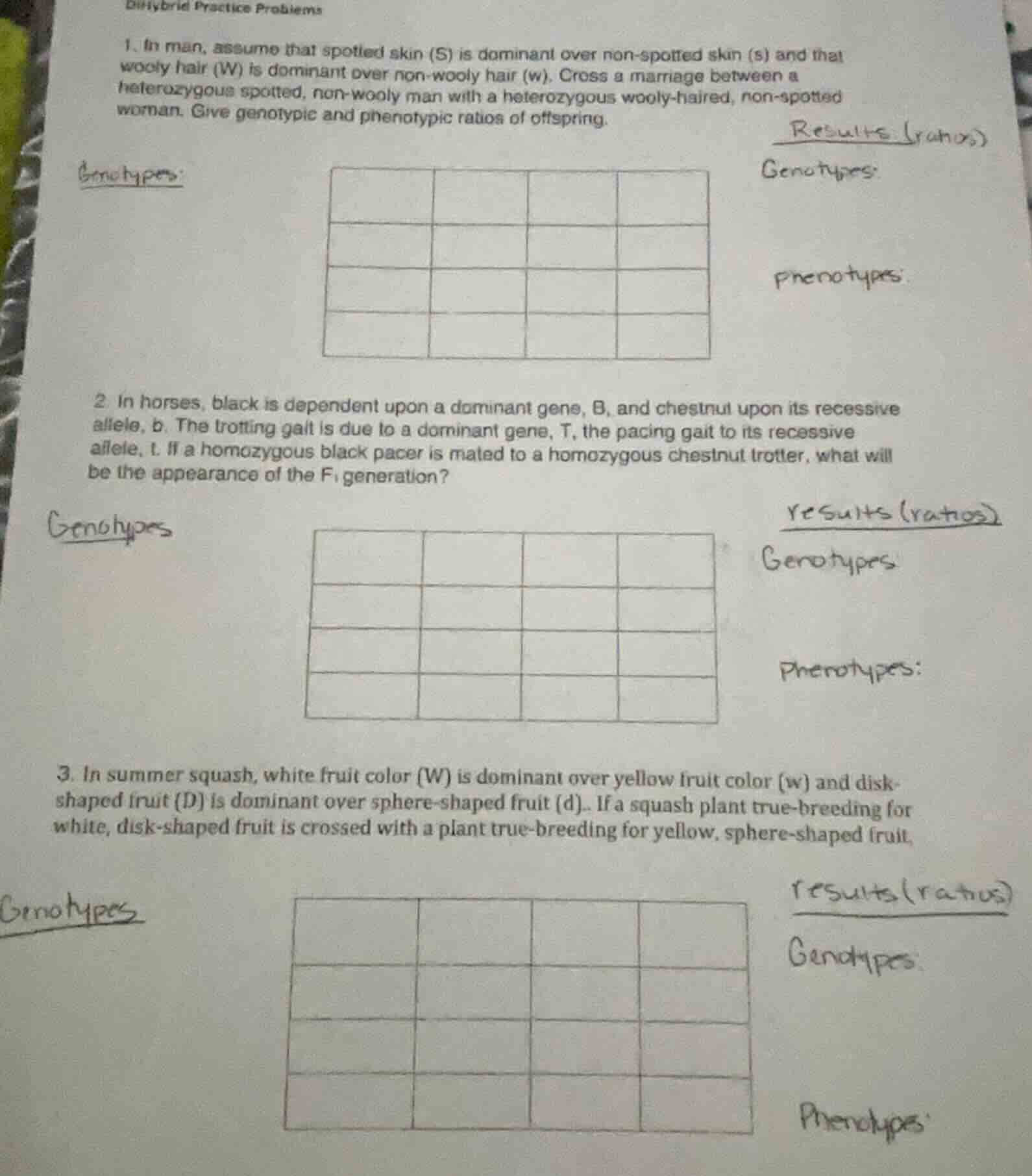 dihybrid practice problems 1. in man, assume that spotted skin (s) is d…