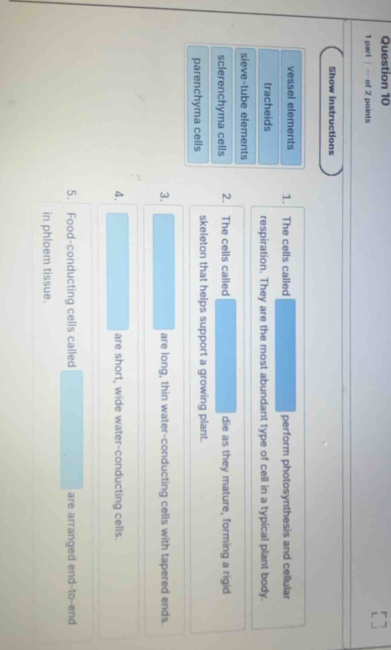 question 101 part | -- of 2 pointsshow instructionsvessel elementstrach…