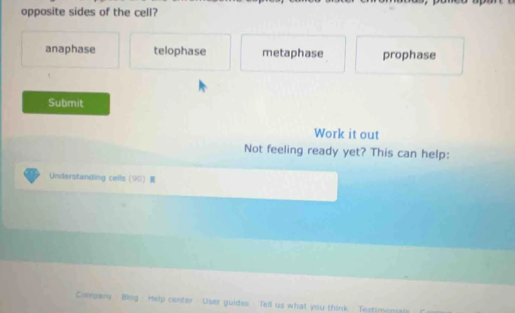 opposite sides of the cell? anaphase telophase metaphase prophase submi…