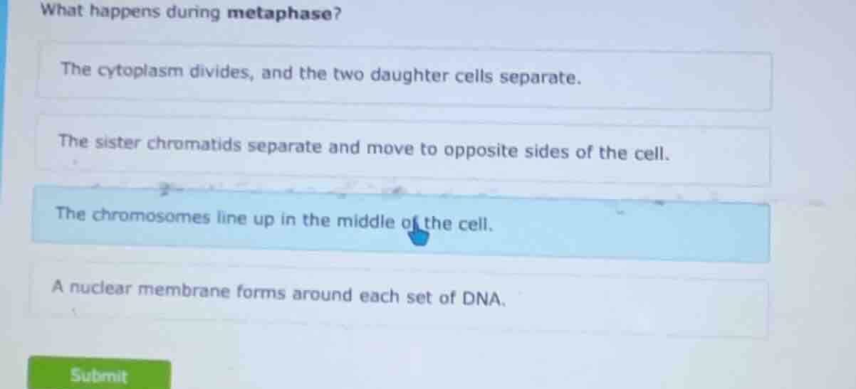what happens during metaphase?the cytoplasm divides, and the two daught…