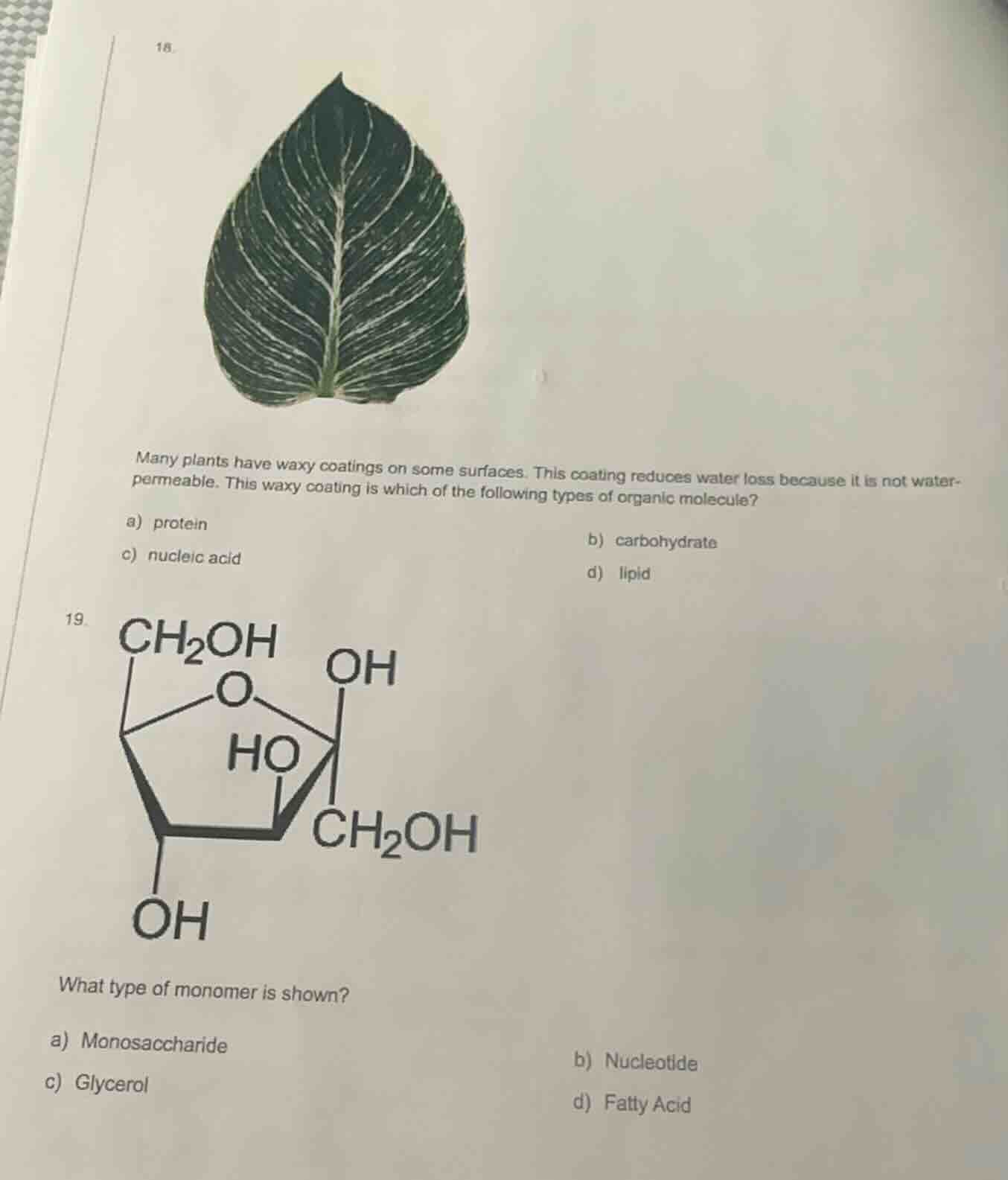 18.many plants have waxy coatings on some surfaces. this coating reduce…