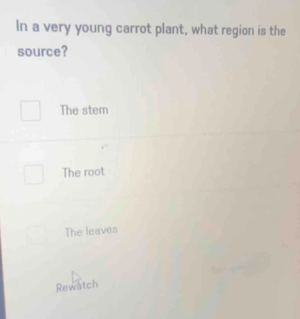 in a very young carrot plant, what region is the source?the stemthe roo…