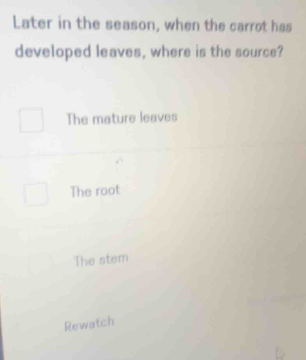 later in the season, when the carrot has developed leaves, where is the…