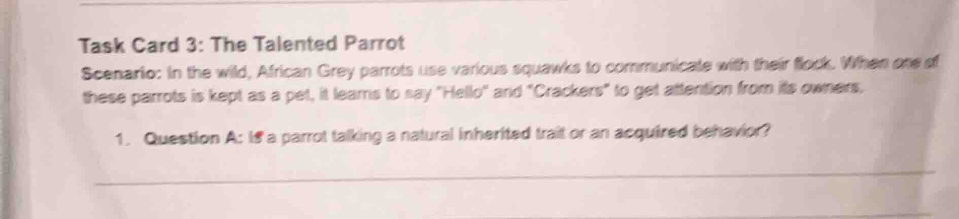 task card 3: the talented parrot scenario: in the wild, african grey pa…