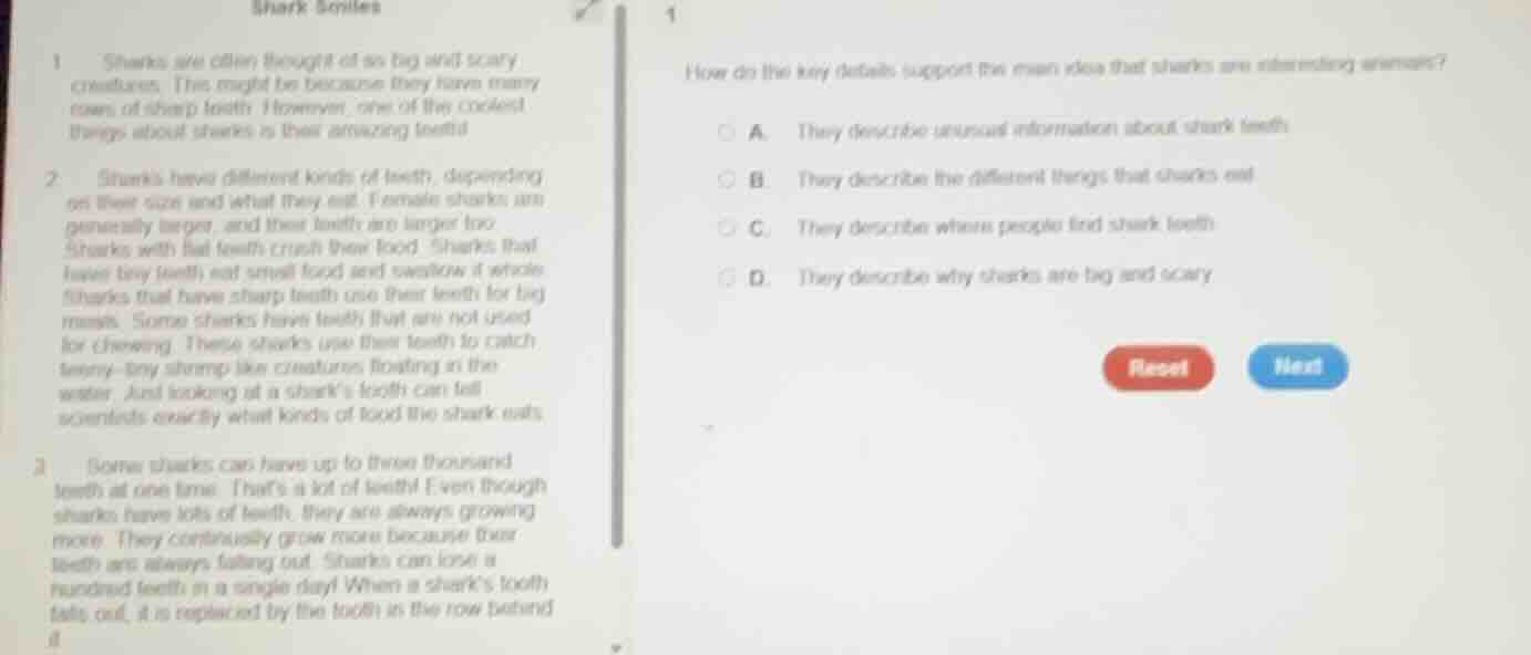 shark smiles1 sharks are often thought of as big and scary creatures. t…