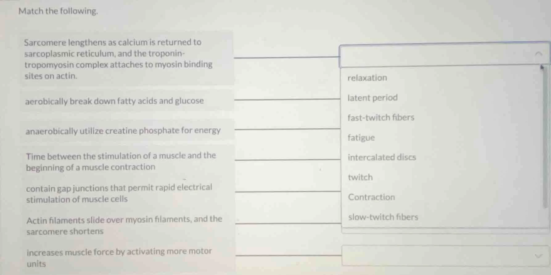match the following. sarcomere lengthens as calcium is returned to sarc…