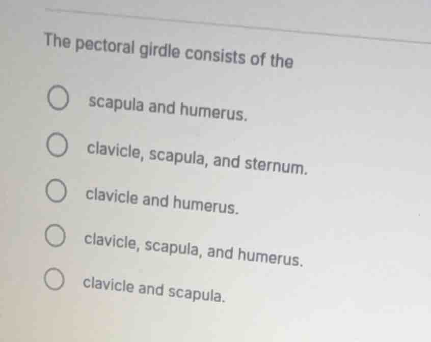 the pectoral girdle consists of the scapula and humerus. clavicle, scap…