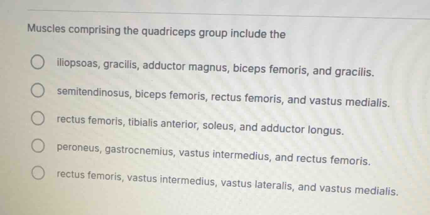 muscles comprising the quadriceps group include the ○ iliopsoas, gracil…
