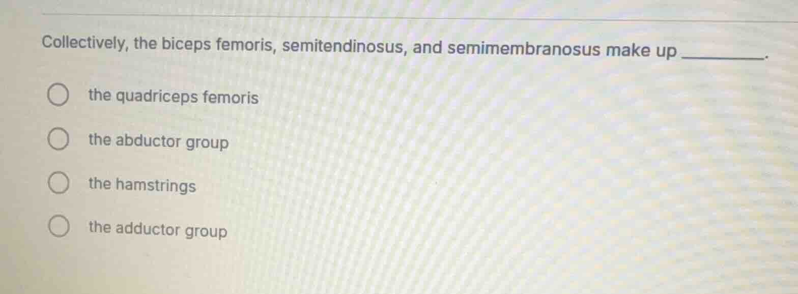 collectively, the biceps femoris, semitendinosus, and semimembranosus m…