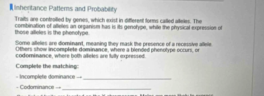 inheritance patterns and probability traits are controlled by genes, wh…
