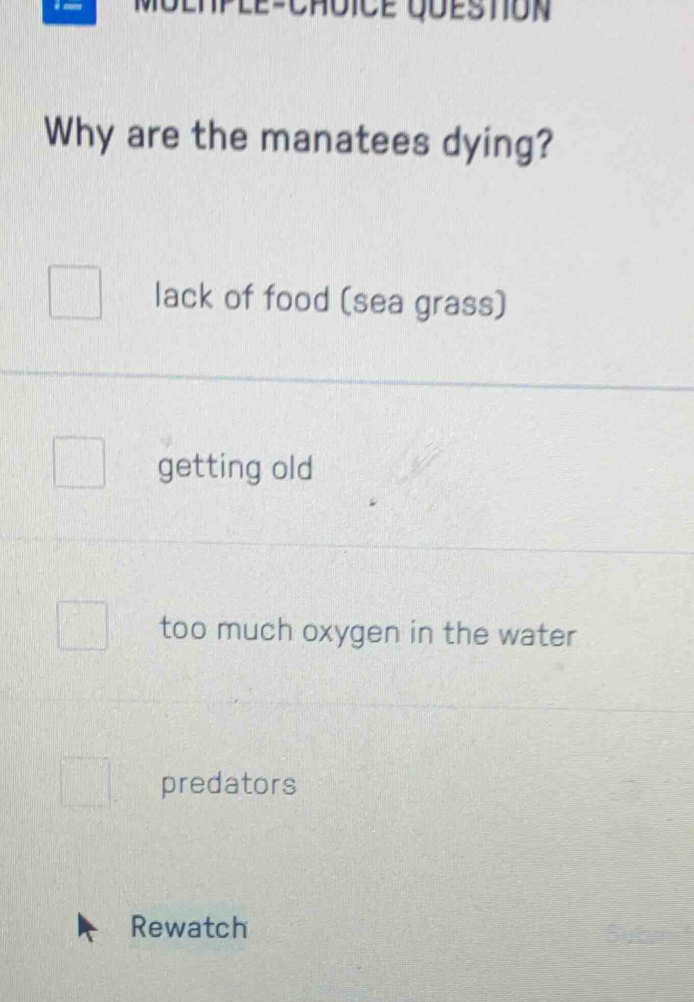 multiple-choice question why are the manatees dying? lack of food (sea …