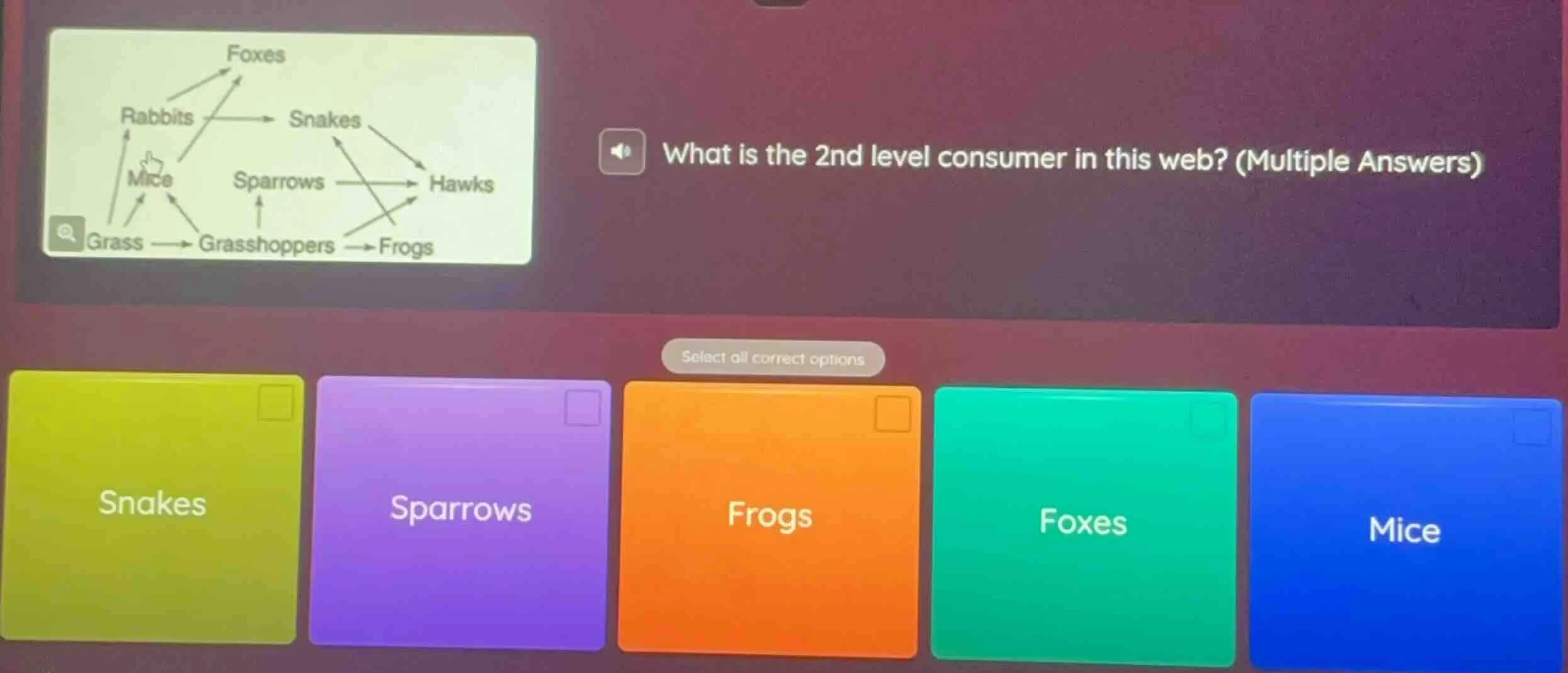 what is the 2nd level consumer in this web? (multiple answers) select a…