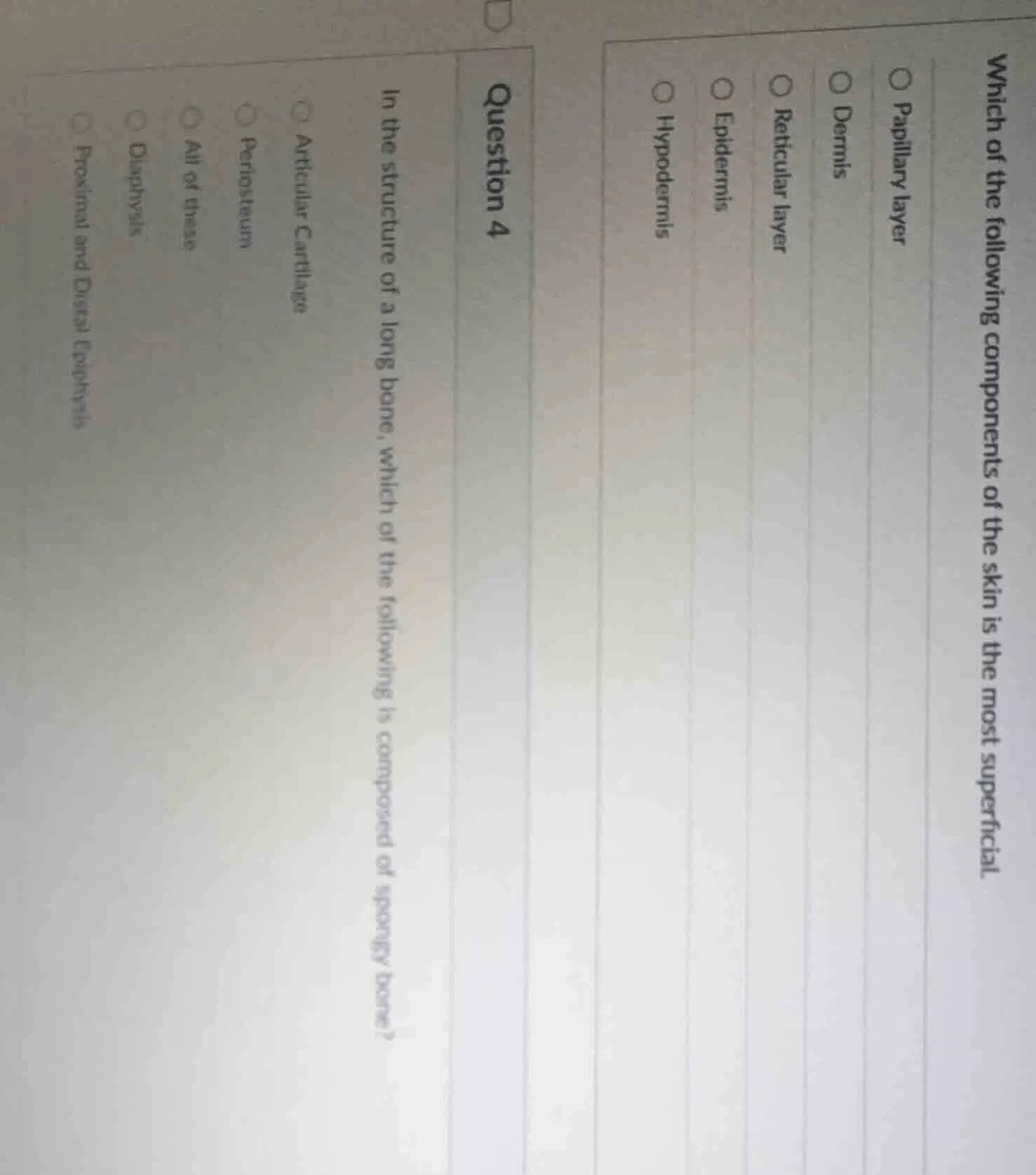 which of the following components of the skin is the most superficial.○…